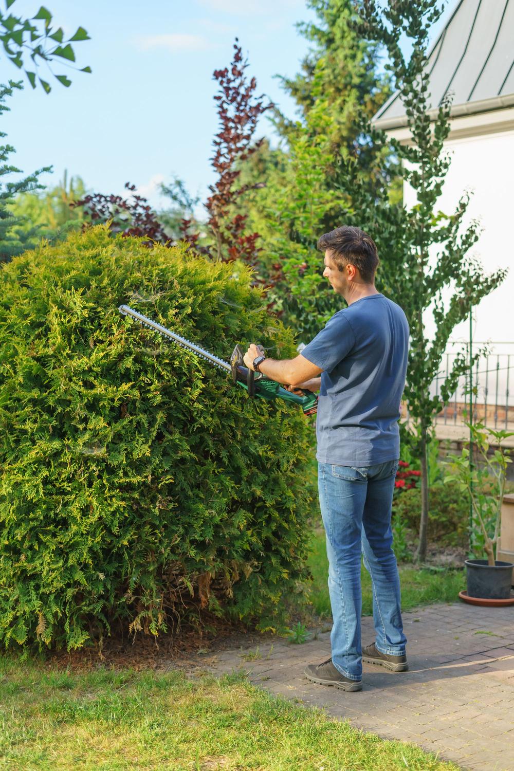 Greenway crew member shaping a hedge with a trimmer