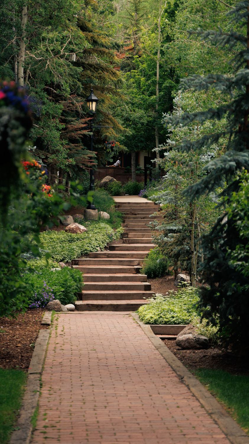 Brick garden path & steps in Oakwood